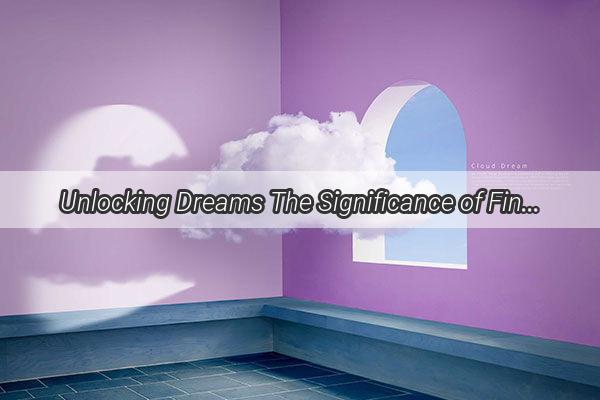 Unlocking Dreams The Significance of Finding a Key in Your Nightly Escape